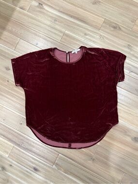 Madewell Velvet Tulip-hem top